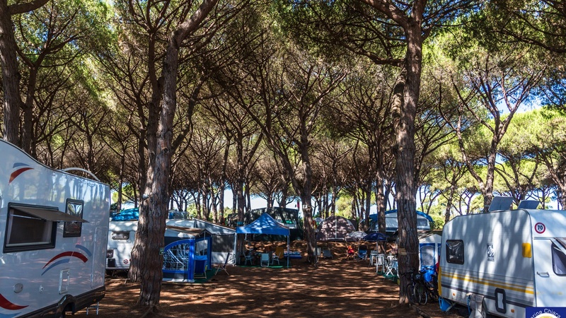  Pineta - Camping Village Marina Chiara a Albinia Orbetello 